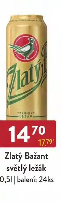 Qanto Zlatý Bažant světlý ležák 0,5L nabídka