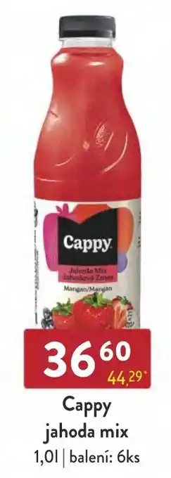 Qanto Cappy jahoda mix 1.0L nabídka