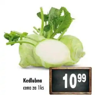 Qanto Kedlubna nabídka