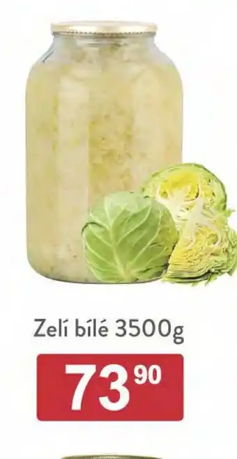 Qanto Zelí bílé 3500g nabídka