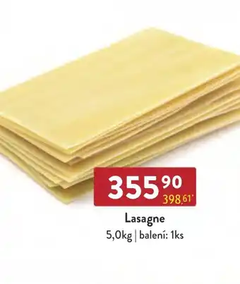 Qanto Lasagne 5,0kg nabídka