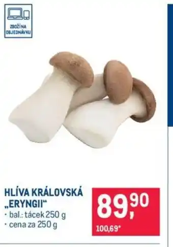 Makro HLÍVA KRÁLOVSKÁ „ERYNGII nabídka