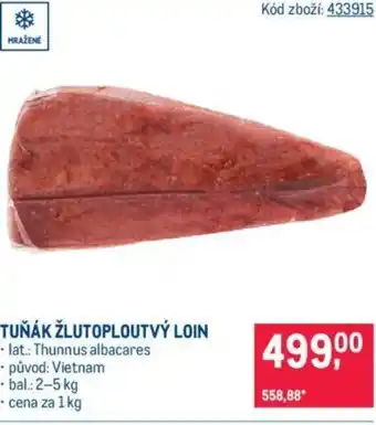 Makro TUŇÁK ŽLUTOPLOUTVÝ LOIN nabídka