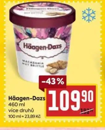 Billa Häagen-Dazs nabídka