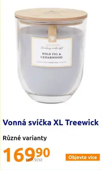 Action Vonná svíčka XL Treewick nabídka