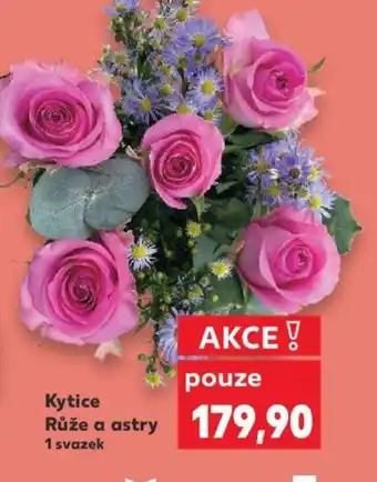 Kaufland Kytice Růže a astry nabídka