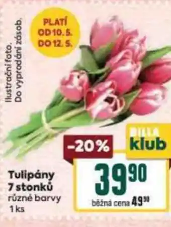Billa Tulipány 7 stonků nabídka