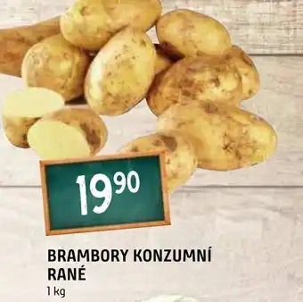 Terno BRAMBORY KONZUMNÍ RANÉ nabídka