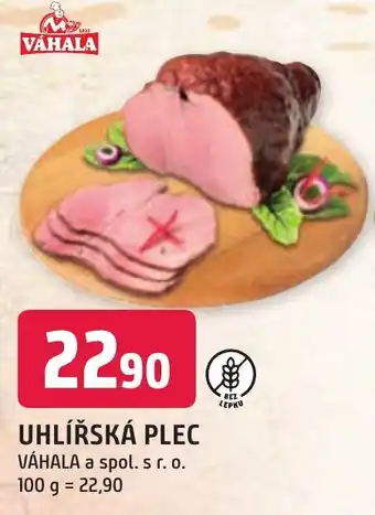 Trefa UHLÍŘSKÁ PLEC nabídka