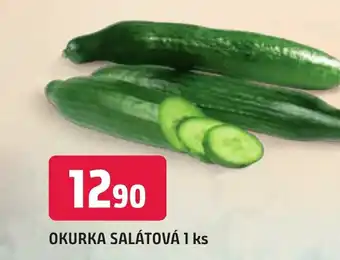 Trefa OKURKA SALÁTOVÁ 1 ks nabídka