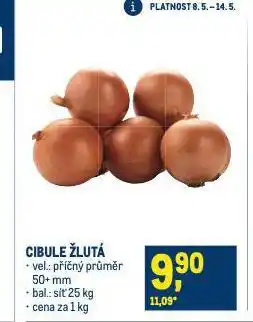 Makro Cibule žlutá nabídka