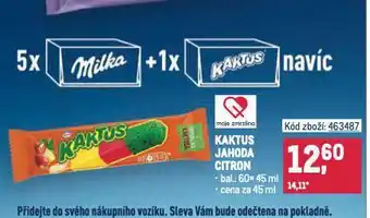 Makro Kaktus zmrzlina nabídka