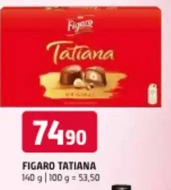 Terno FIGARO TATIANA nabídka