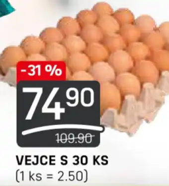 Flop VEJCE S 30 KS nabídka