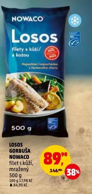 Penny Market LOSOS GORBUŠA NOWACO nabídka