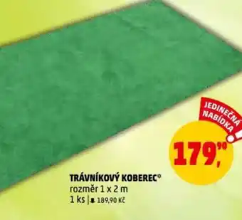 Penny Market TRÁVNÍKOVÝ KOBEREC nabídka