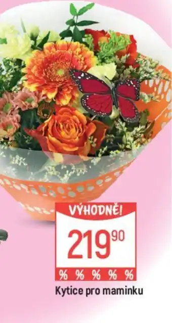 Globus Kytice pro maminku nabídka