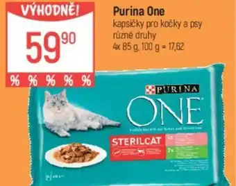 Globus Purina One kapsičky pro kočky a psy nabídka