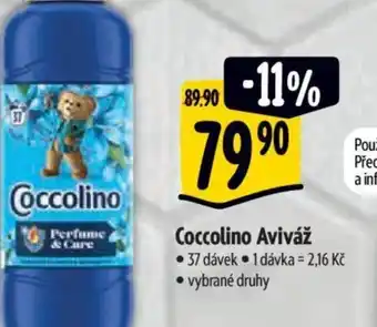 Albert Coccolino Aviváž nabídka