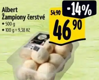 Albert Albert žampiony čerstvé nabídka