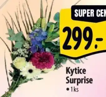 Albert Kytice Surprise nabídka