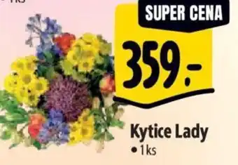 Albert Kytice Lady nabídka