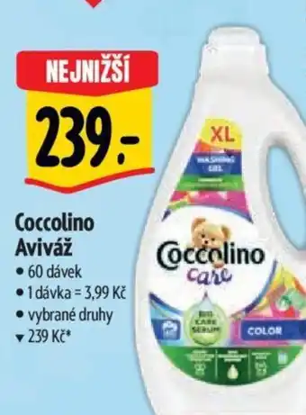 Albert Coccolino Aviváž nabídka