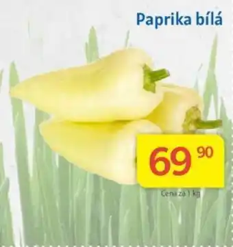 Kubík potraviny Paprika bílá nabídka