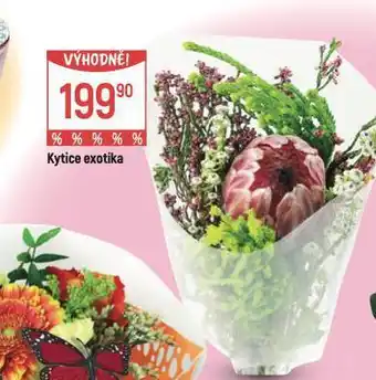 Globus Kytice nabídka