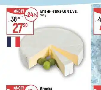 Globus Brie de france nabídka
