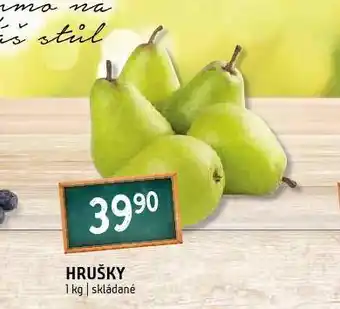 Terno Hrušky nabídka