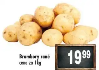 Qanto Brambory rané cena za 1kg nabídka