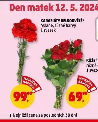 Penny Market Karafiáty velkokvěté nabídka