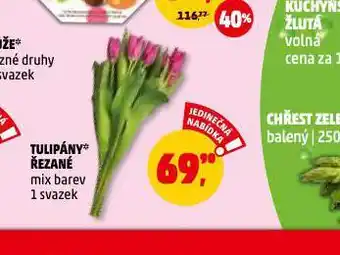 Penny Market Tulipány řezané nabídka