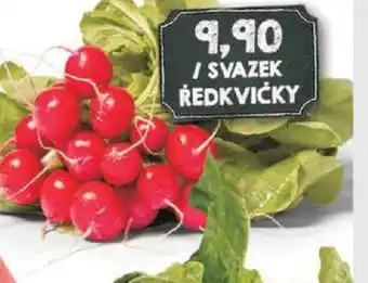 Jip SVAZEK ŘEDKVIČKY nabídka