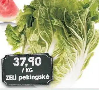 Jip ZELÍ pekingské nabídka