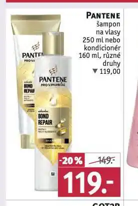 Rossmann Pantene šampon, kondicioner nabídka