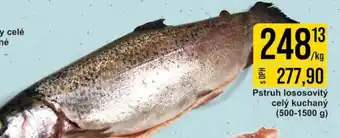 Jip Pstruh lososovitý celý kuchaný nabídka