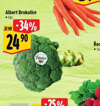 Albert Brokolice nabídka