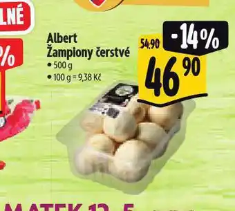 Albert Žampiony nabídka
