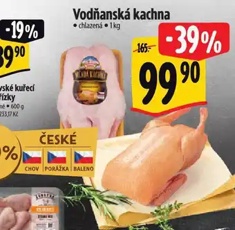 Albert Vodňanská kachna nabídka