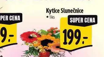 Albert Kytice slunečnice nabídka