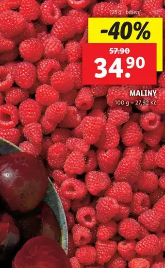 Lidl MALINY nabídka