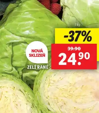 Lidl ZELÍ RANÉ nabídka