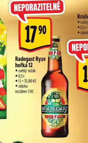 Albert Pivo radegast ryze hořká 12 nabídka