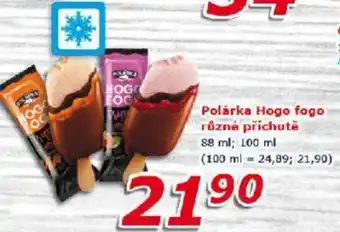 Polárka Hogo fogo různé příchutě