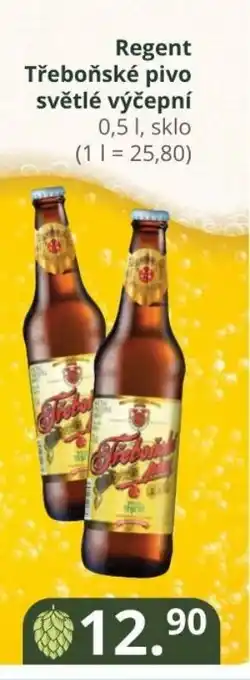 Regent Třeboňské pivo světlé výčepní