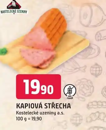 Trefa KAPIOVÁ STŘECHA nabídka