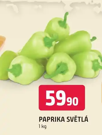 Terno PAPRIKA SVĚTLÁ nabídka