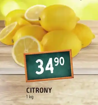 Terno CITRONY nabídka